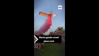 Mexico gender reveal plane crash [upl. by Nosna]