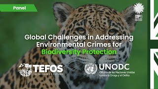 Global Challenges in Addressing Environmental Crimes for Biodiversity Protection [upl. by Fan]