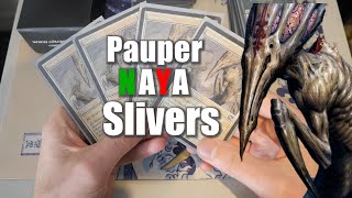 Pauper Naya Slivers Deck Tech Tutorial  Powerful and Fun [upl. by Wynne]