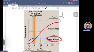 Extra Concepts for Graph of Enzyme Inhibitors [upl. by Theurich]