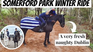 SOMERFORD PARK FARM RIDE  With a very sassy Dublin  KATIELEWIS100 [upl. by Buckden849]