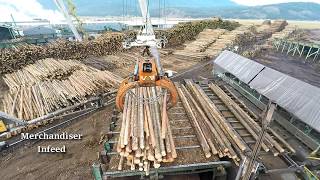 Logs to Lumber  An aerial journey through the sawmill [upl. by Ilrebmik702]