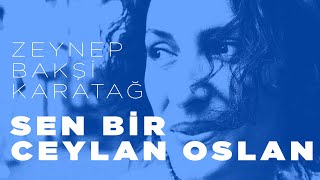 Sen bir ceylan olsan  Zeynep Bakşi Karatağ [upl. by Doxia]