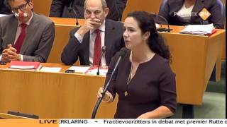 samenvatting beste uitspraken wilders inbreng regeringsverklaring [upl. by Ecinad554]