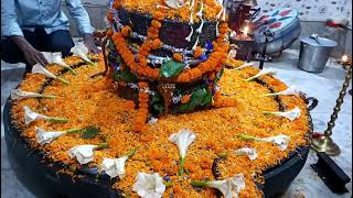 sagardighi chandanbari Shiv Mandir 🥰🥰 2024 October [upl. by Sema55]