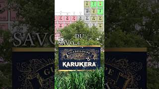 Linsolite La prochaine cuvée de Karukera [upl. by Irene]