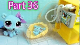 LPS Baby Hospital  Mommies Part 36 Littlest Pet Shop Series Movie LPS Mom Babies [upl. by Nodmac67]