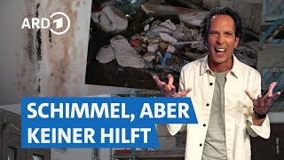 Mieten und Bauen Herausforderungen auf dem Wohnungsmarkt  Die Tricks… NDR amp SWR [upl. by Notlrahc]