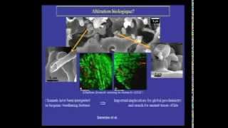 Biomineralisations bactériennes enjeux en sciences de la planète François Guyot 13 juin 2006 [upl. by Bayer]