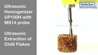 Ultrasonic Extraction of Chili Flakes  Hielscher Ultrasonics [upl. by Aihsekel]