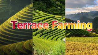 Farming Methods of Agriculture  What is Terrace Farming [upl. by Artamas]