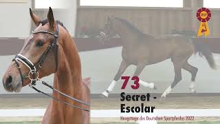 Lot 73 Hengst v SecretEscolar [upl. by Ynattyrb]