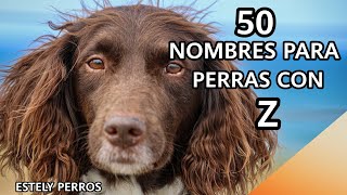 HERMOSOS NOMBRES PARA PERRAS CON Z [upl. by Liederman]