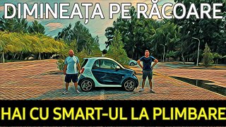 Are SMARTUL motor de Dacie  sau de Mercedes [upl. by Latrena770]