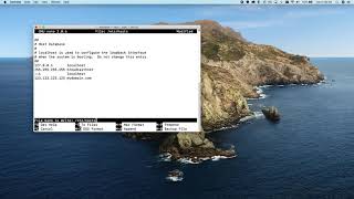 How to edit Mac Hosts File [upl. by Annoyek448]