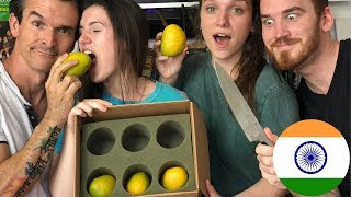 AMERICANS TRY INDIAN MANGOS FOR THE FIRST TIME [upl. by Anay739]