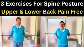 Exercises For Back Pain Upper and Lower Back Pain Relief Exercises Back Posture Exercises [upl. by Barnabe]