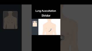 Lung Auscultation Strioder pulmonaryrehabilitation pulmonary healtheducation [upl. by Anerres]