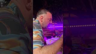 Curry challenge phaal curry  tandoori hut Tenerife trendingshorts tenerife canaryislands [upl. by Emily]