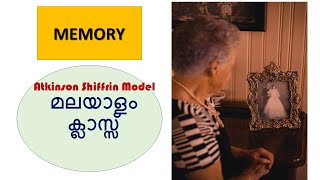 Memory Atkinson Shiffrin Model [upl. by Rabah]