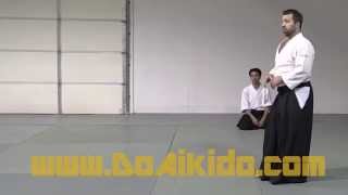 Aikido Randori Attack Classes Protect Your Face Uke [upl. by Akiras]