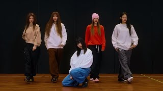 NewJeans  OMG Dance Practice Mirrored 4K [upl. by Jewel]