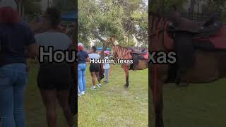 Views from the Trail Ride  N Da Mix Trail Ride Houston [upl. by Santini138]