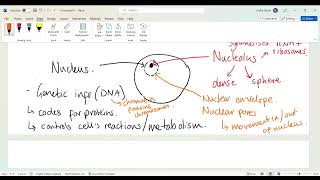 BTEC Human Biology unit 1  revision 1  cell ultrastructure [upl. by Brandtr]