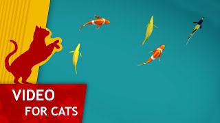 Cat Games  Pond Full of Fish Cat video for big screens [upl. by Arah]