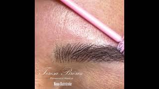 Realistic nano hair stroke brows [upl. by Aman]