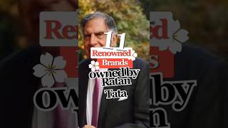 11 Renowned Brands Owned By Ratan Tata shorts famousbrands ratantata brand tata tatagroup [upl. by Dymoke]