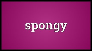 Spongy Meaning [upl. by Treblihp]