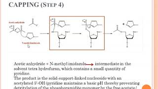 Synthesis of DNA Oligonucleotides [upl. by Rue]