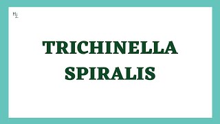 Trichinella spiralis Life Cycle  TrichinellosisTrichinosis  Trichna Worm Infection  Parasitology [upl. by Ameline744]