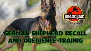 German Shepherd Recall Training  Obedience training [upl. by Asp]