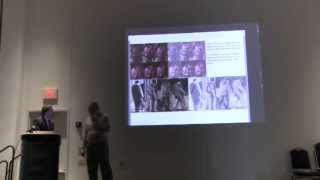 2013 Bill Munns  Texas Bigfoot Conference Presentation [upl. by Asus636]