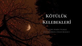 KÖTÜLÜK KELEBEKLERİ 9BÖLÜM amp FİNAL BÖLÜMÜ MUHTEŞEM BİR HİKAYE amp SESLİ KİTAP [upl. by Shaum]