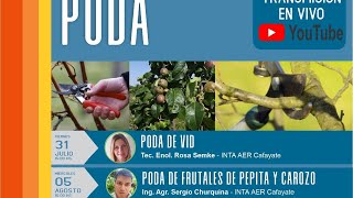 Poda de Frutales de Pepita y Carozo Ing Agr Sergio Churquina  AER Cafayate [upl. by Akcirahs564]