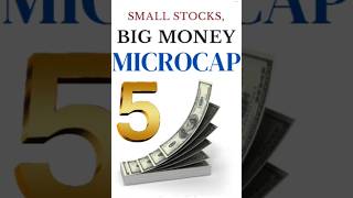 Best 5 Microcap Stock Multibagger Stocks sumitwealthtalks ytshorts ytfeed viralshort facts [upl. by Nitneuq]