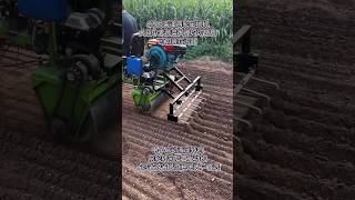 Mini tractor engine machine shorts agriculture modernfarmer youtbeshorts cropmanagement [upl. by Philemol]