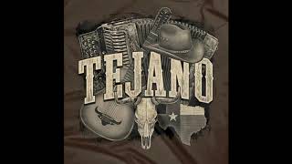 Puro Party Tejano Mix [upl. by Oster]