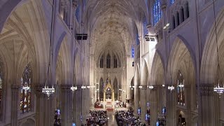 Restoring St Patricks Cathedral [upl. by Ecirtap498]