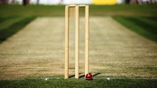 Investigation into ‘alleged bigotry’ of Cricket [upl. by Nalyt]