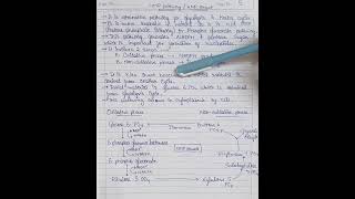 77 Hexose mono phosphate HMP Pathway  HMP shunt biology pharmacy chemistry science [upl. by Firehs]