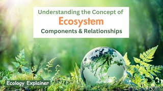 Understanding the Concept of Ecosystem  Components amp types of Ecosystem  UNFCCC Ecology Explainer [upl. by Ehling361]