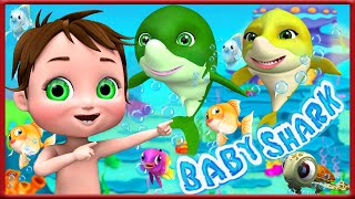 Baby Hai Abenteuer  Babylieder – Kinderreime und Kinderlieder Bmbm School Teather  Deutsch 196 [upl. by Tonye]