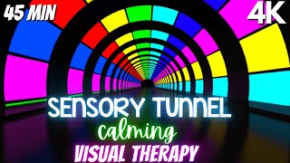 Autism Calming Music Colorful Visual Therapy Tunnel [upl. by Howland430]