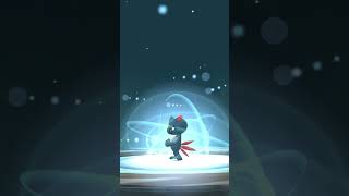 Sneasel evolves pokemon evolution pokemongo [upl. by Hayyim]