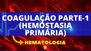 COAGULAÇÃO PARTE1 HEMOSTASIA PRIMÁRIA  HEMATOLOGIA  AULA 9 [upl. by Amocat437]