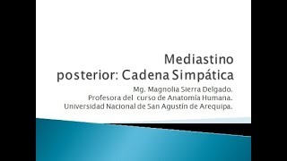 Mediastino Posterior Cadena Simpática [upl. by Nnylamme]